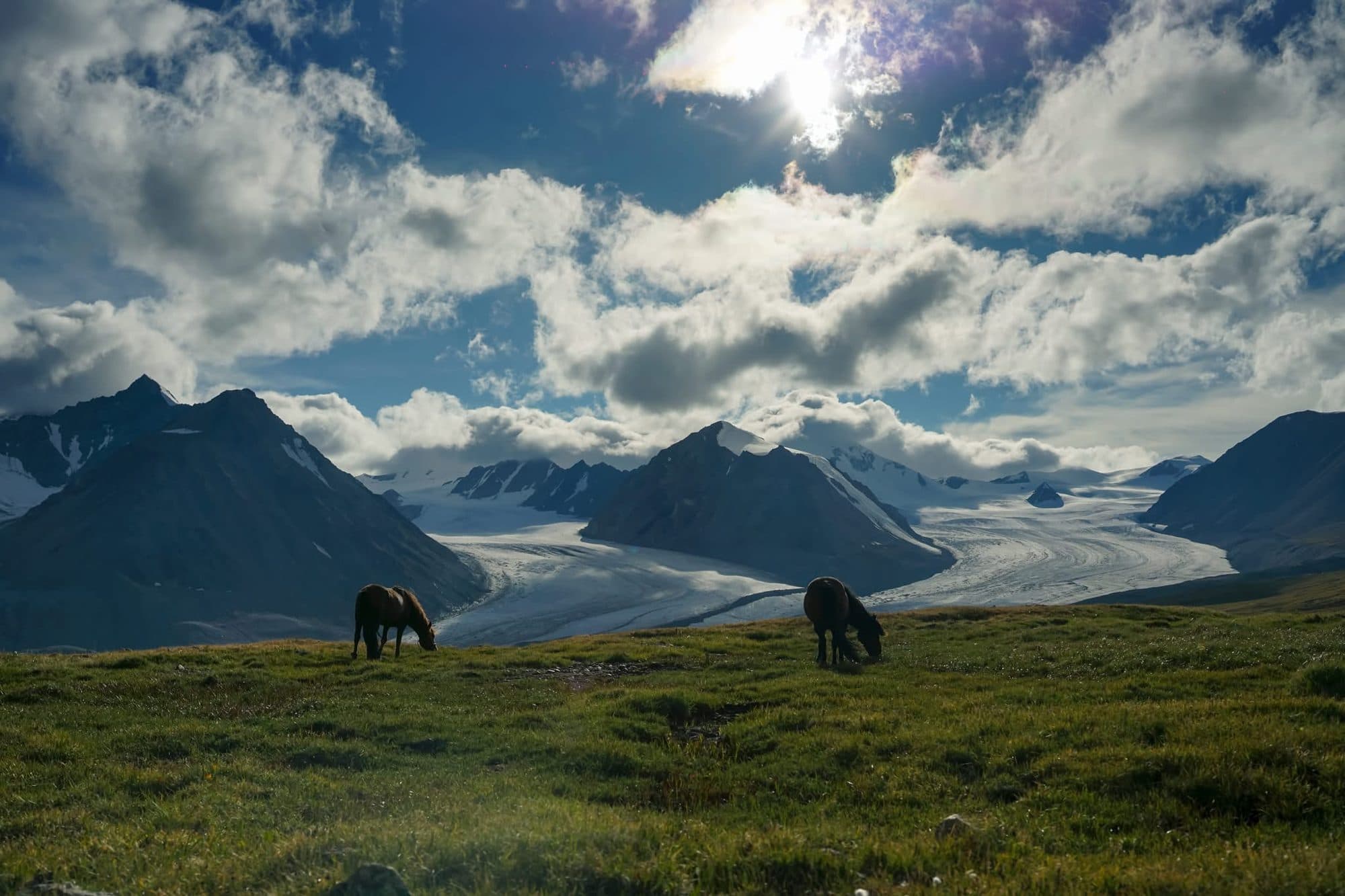 Ride the Altai on Horseback